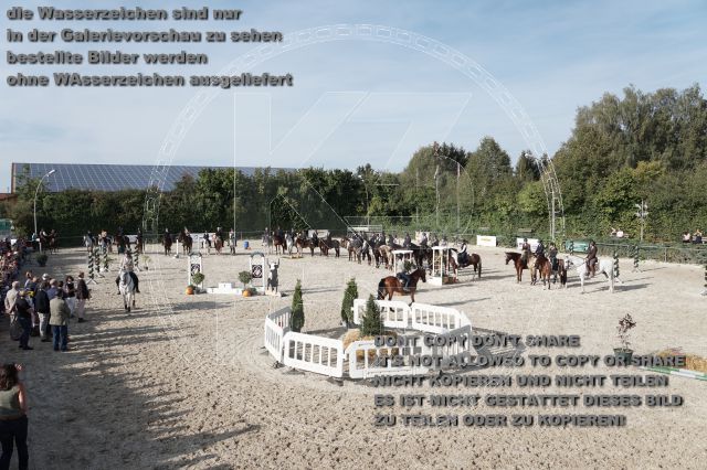 a_DSC06420.JPG